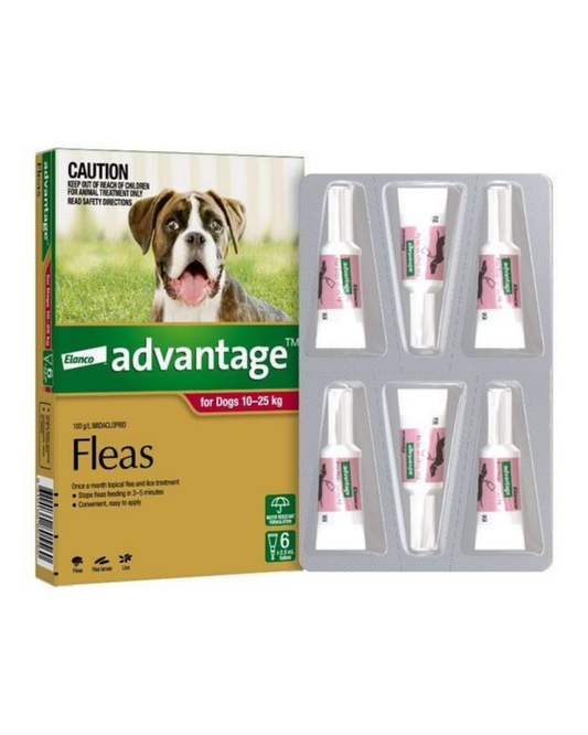 Advantage Dog 10-25kg (Large)