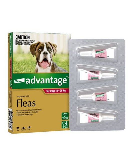 Advantage Dog 10-25kg (Large)