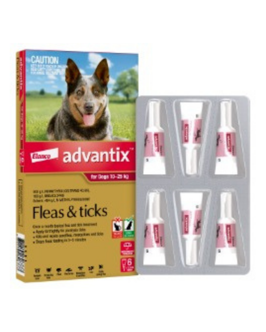 Advantix Dog 10-25kg (Large)