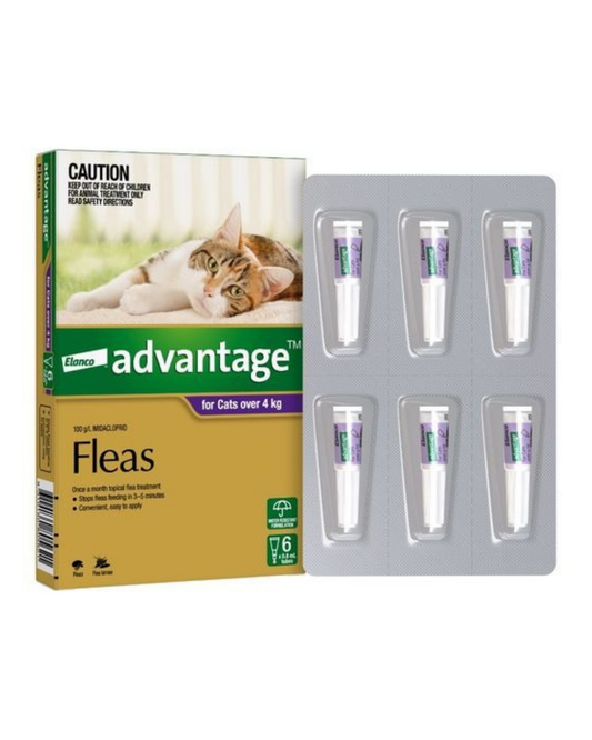 Advantage Cat 4kg Plus