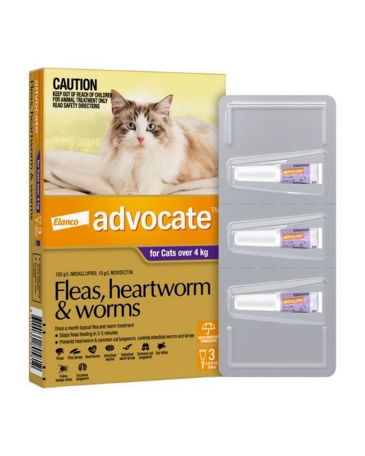 Advocate Cat 4kg Plus