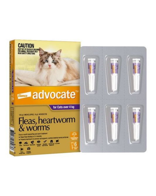 Advocate Cat 4kg Plus