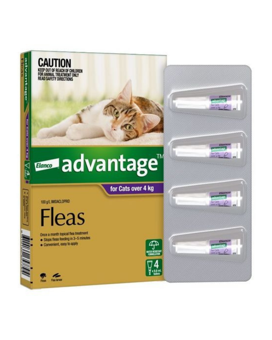 Advantage Cat 4kg Plus