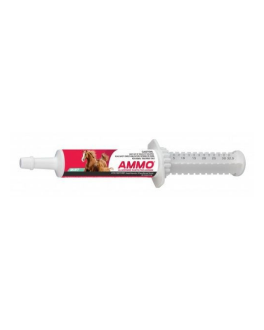 AMMO All Wormer Paste for Horses