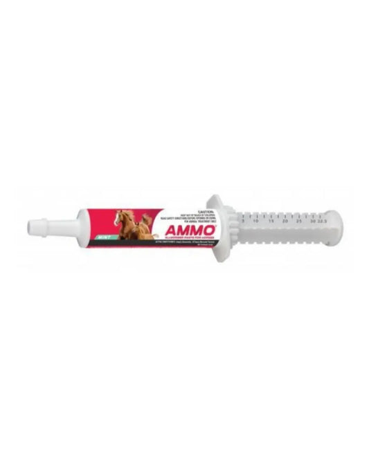 AMMO All Wormer Paste for Horses
