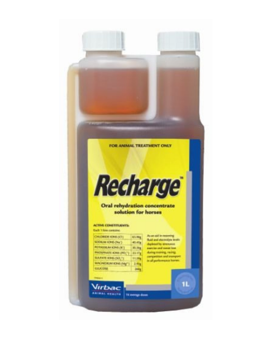 Virbac Recharge for Horses