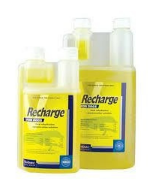Virbac Recharge for Dogs
