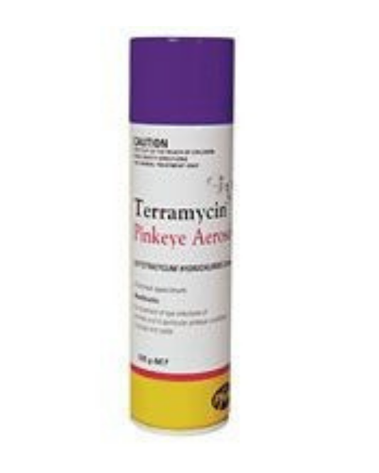 Terramycin Pinkeye Aerosol
