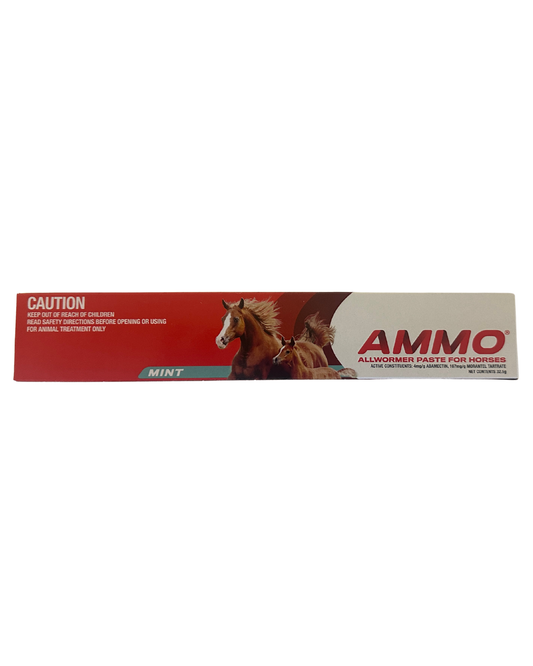 AMMO All Wormer Paste for Horses