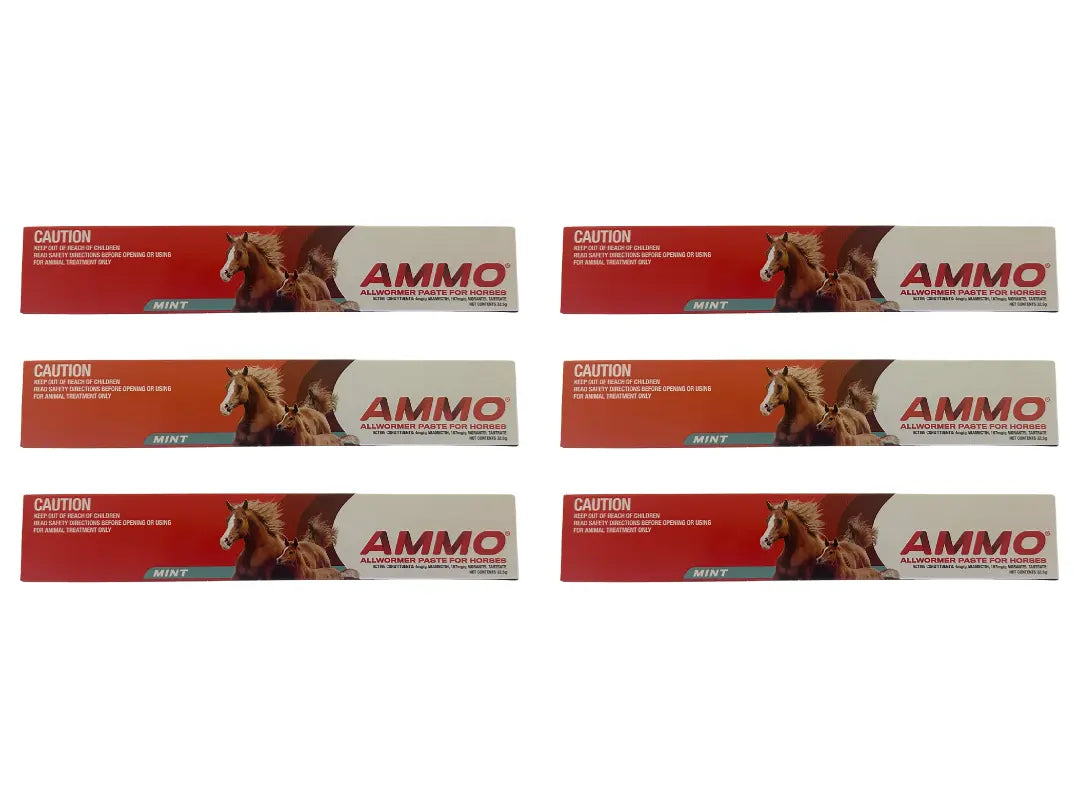 AMMO All Wormer Paste for Horses
