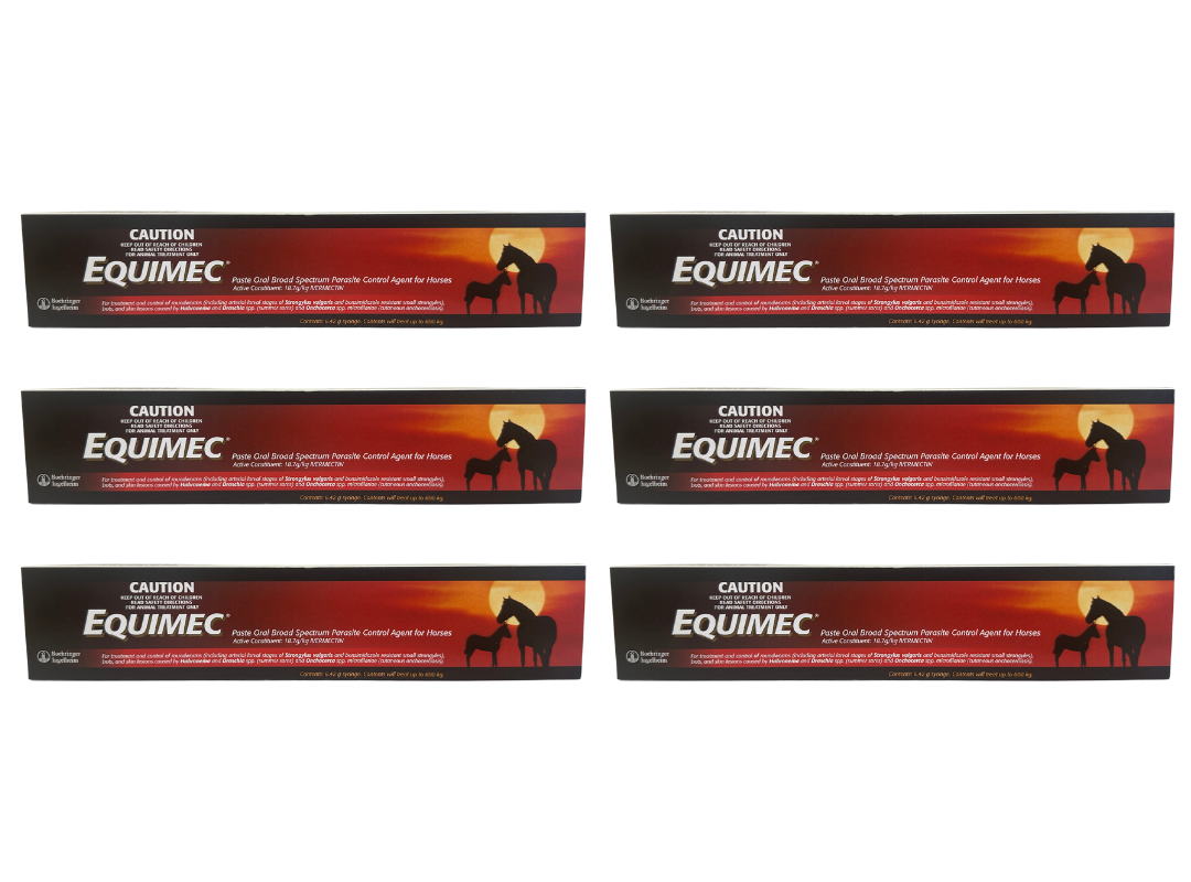 Equimec Paste