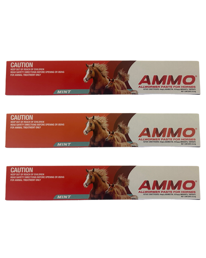AMMO All Wormer Paste for Horses