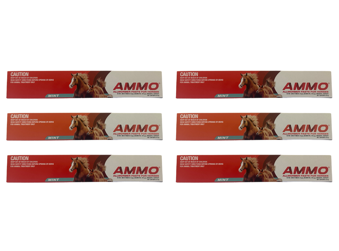 AMMO All Wormer Paste for Horses